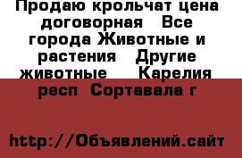 Продаю крольчат цена договорная - Все города Животные и растения » Другие животные   . Карелия респ.,Сортавала г.